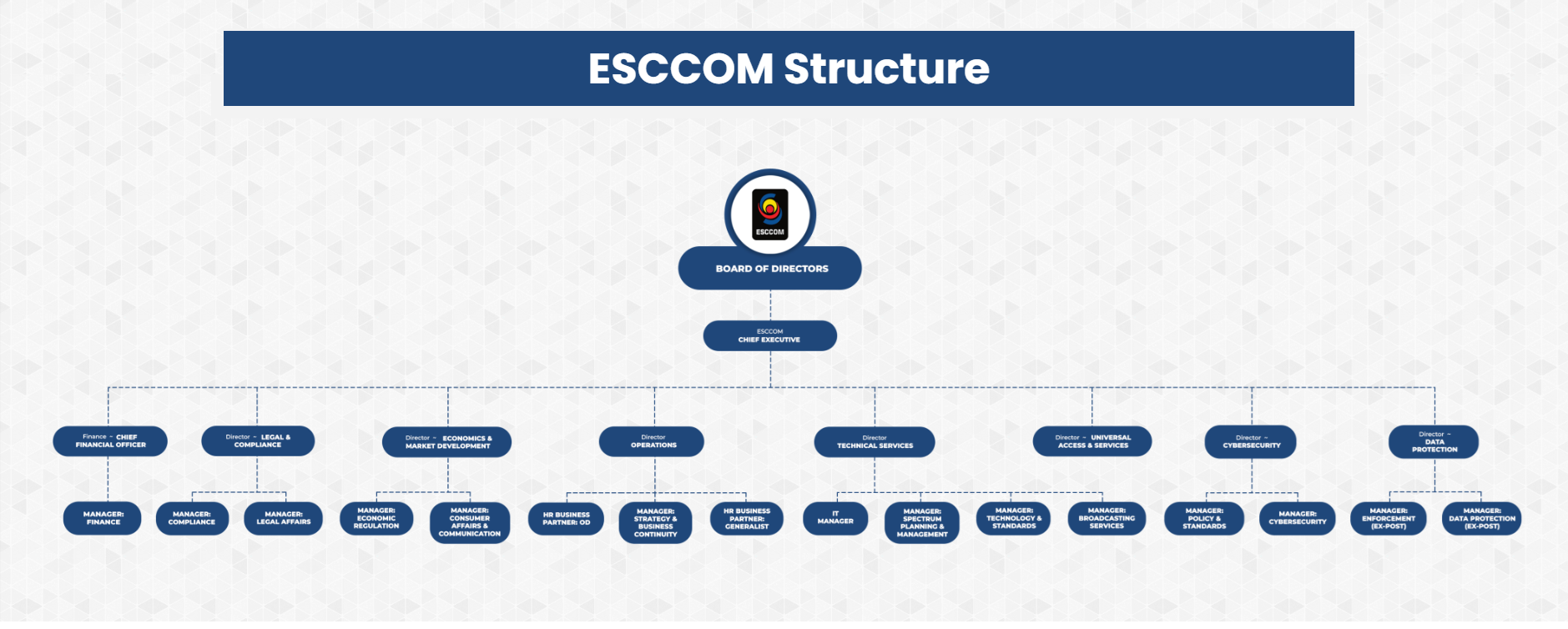 ESCCOM ORGARNISATIONAL STRUCTURE